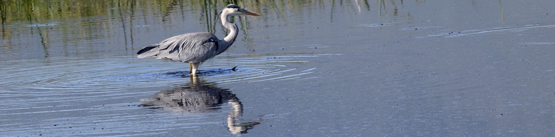 7-Day Tanzania Group Safari